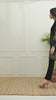 Black Indo-Western Velvet Suit with Tilla and Bead Work - 2 Piece Set